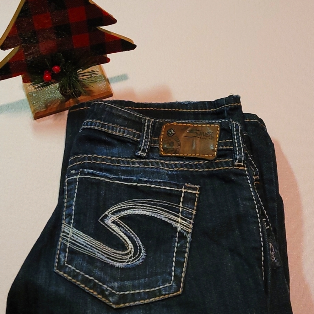 Silver Jeans W30 flare wide leg